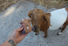 Load image into Gallery viewer, Goat - THIS IS FOR YOUR BATH
