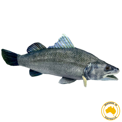 Barry Barramundi - THIS IS FOR YOUR BATH