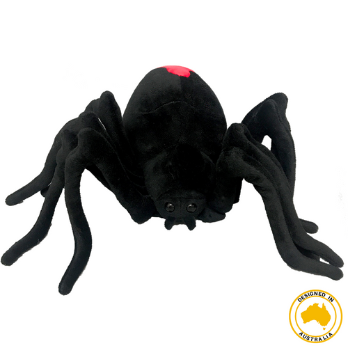 Spider Red Back - THIS IS FOR YOUR BATH