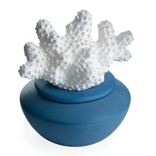 Coral Porcelain Diffuser - THIS IS FOR YOUR BATH