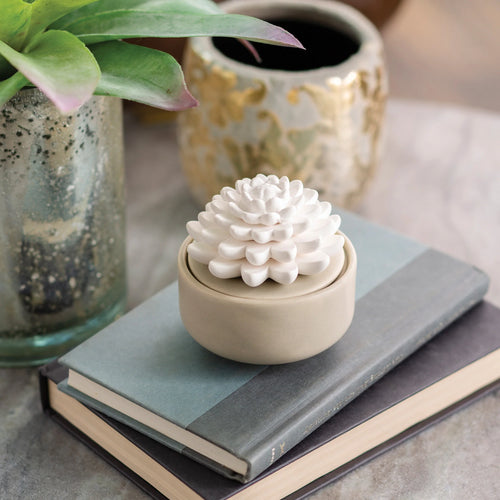 Succulent Porcelain Diffuser - THIS IS FOR YOUR BATH
