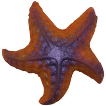 Load image into Gallery viewer, Starfish - THIS IS FOR YOUR BATH
