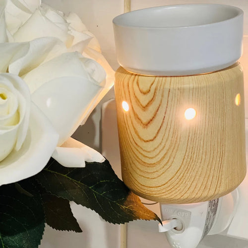 Birchwood Pluggable Wax Warmer - THIS IS FOR YOUR BATH