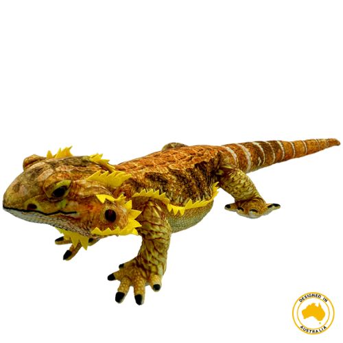 Kambera Bearded Dragon - THIS IS FOR YOUR BATH
